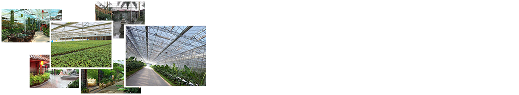 24小時(shí)免費咨詢(xún)、免費技術(shù)指導