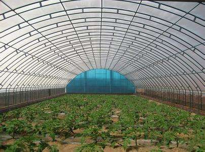 技術(shù)專(zhuān)業(yè)，服務(wù)到位