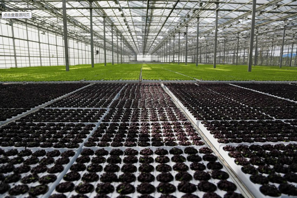 實(shí)力雄厚，品質(zhì)保證！