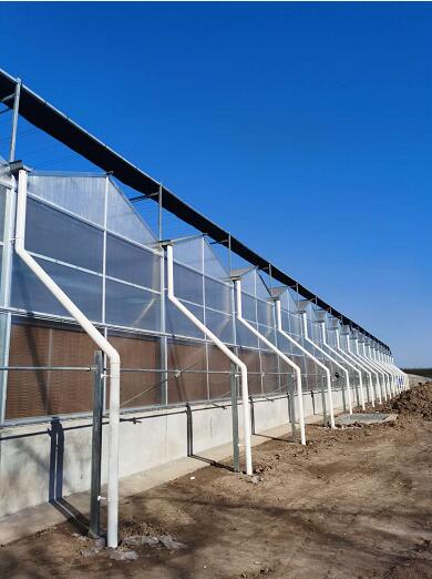 	陜西蔬菜大棚案例